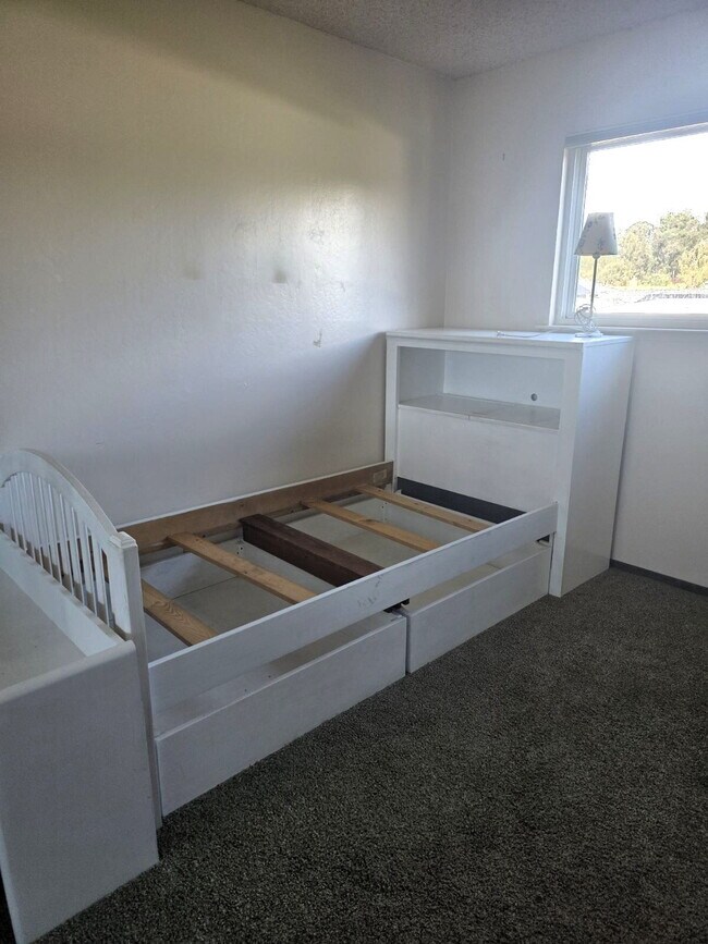 Building Photo - SUPER Spacious Westside Santa Cruz Home wi...