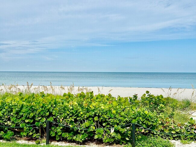 Building Photo - 1540 Gulf Blvd