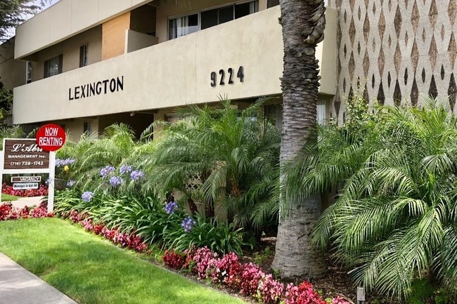 Primary Photo - Lexington Apartments