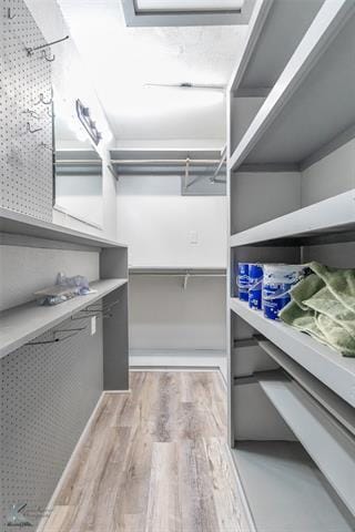 Building Photo - 3183 Curry Ln