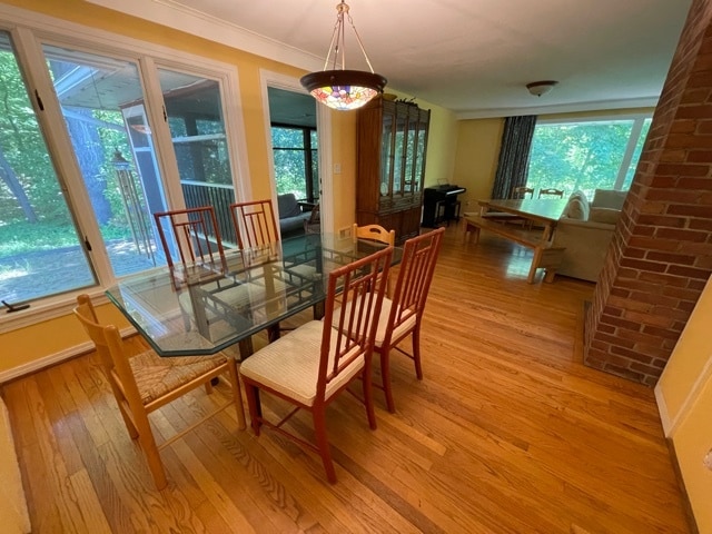 Building Photo - 419 Triphammer Rd