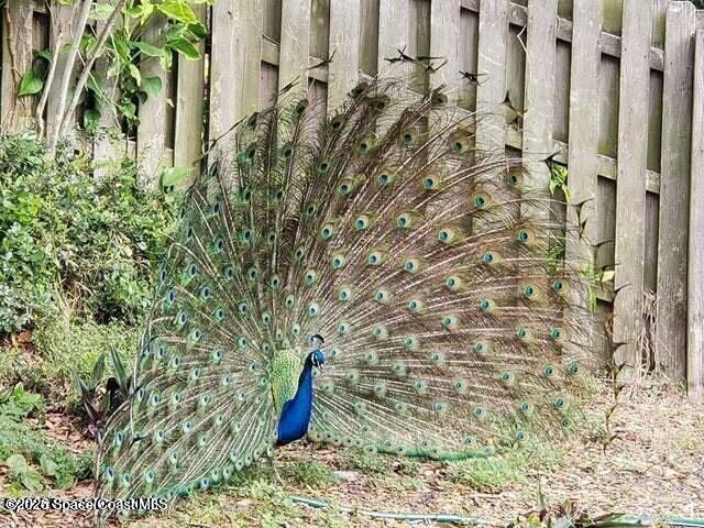 Building Photo - 221 Ocean Park Ln