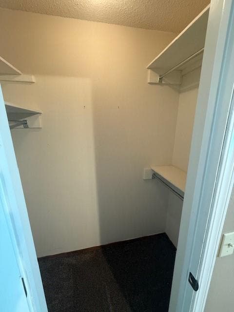 Building Photo - 782 N Storer Ave