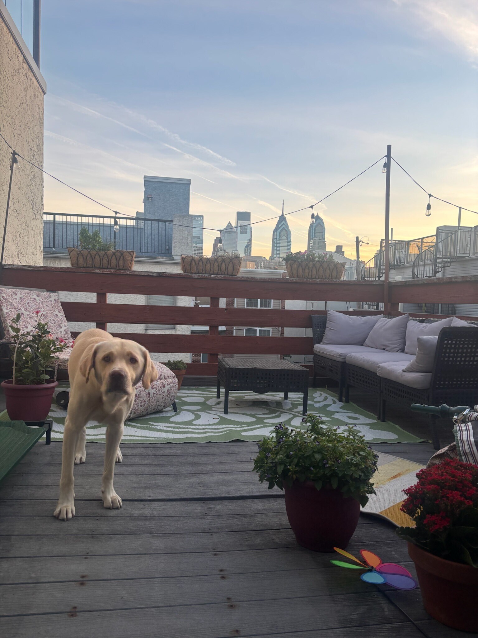 Building Photo - 1909 Christian St