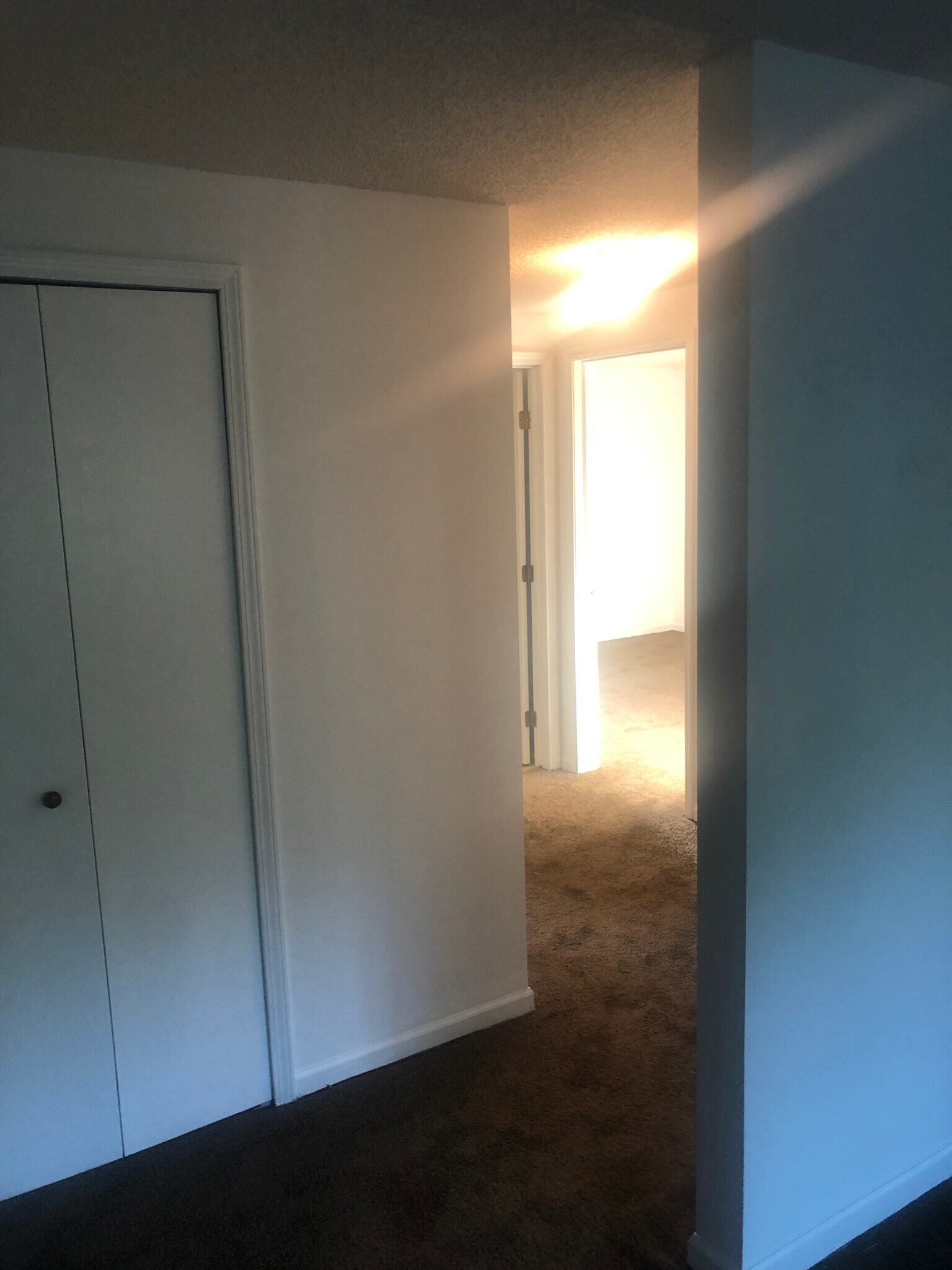 Building Photo - 23 Lemon Tree Ct