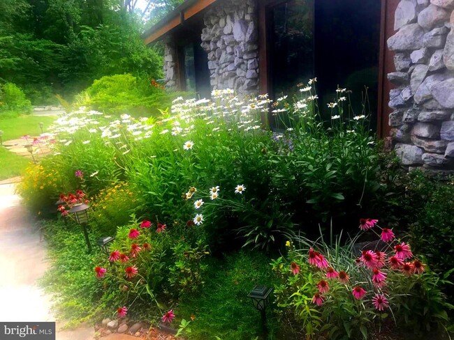 Building Photo - 10809 Nicholsridge Rd