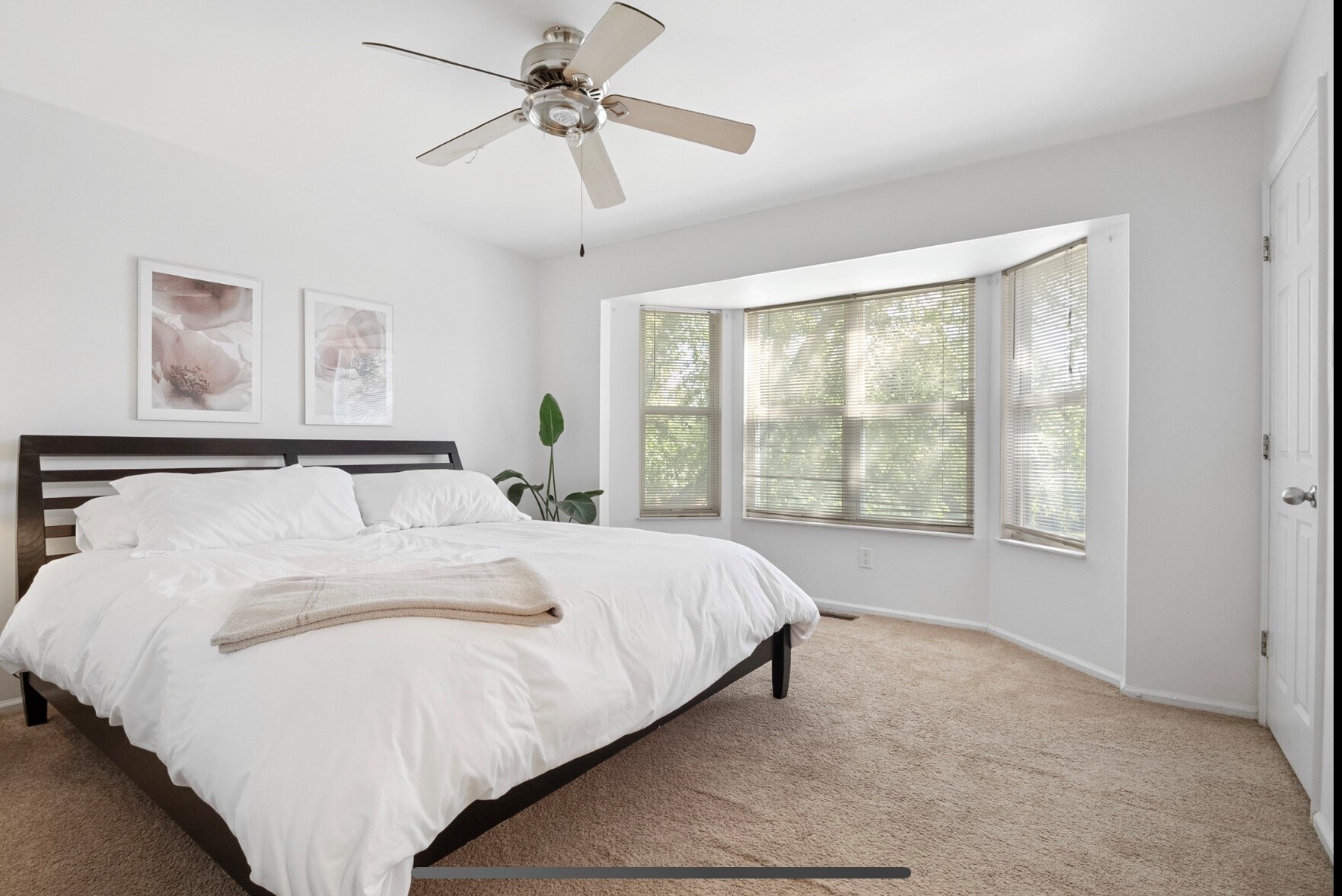 Building Photo - 4109 Westminster Pl