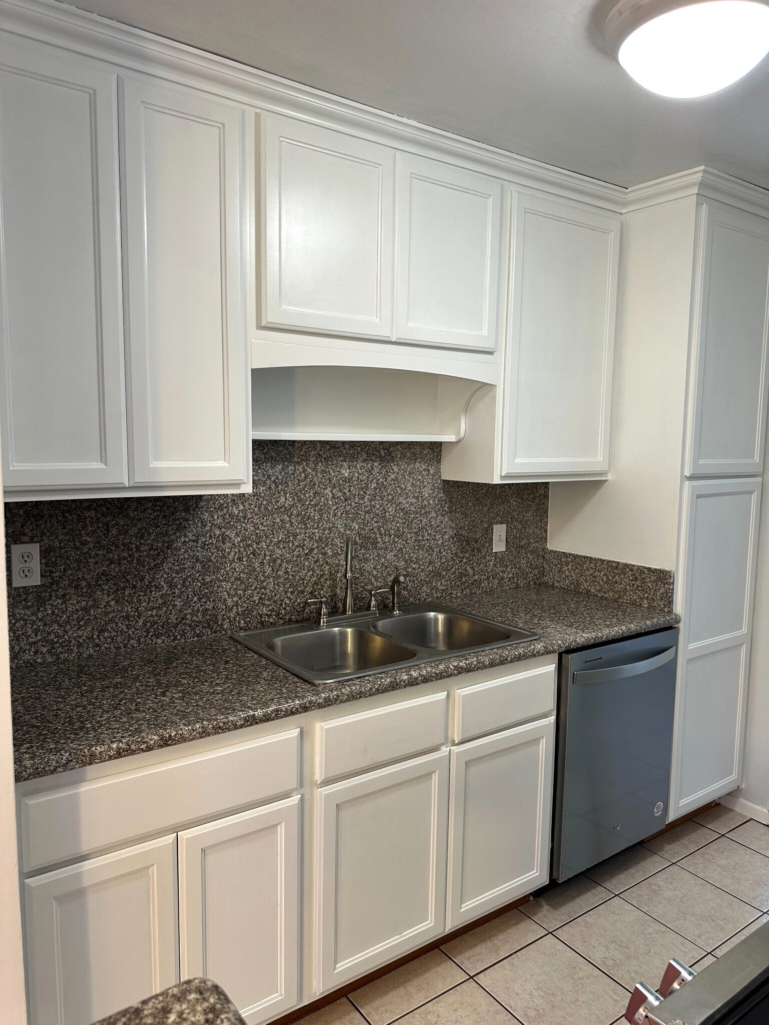 11 - Kitchen - Sink + Dishwasher - 1831 Barry Ave