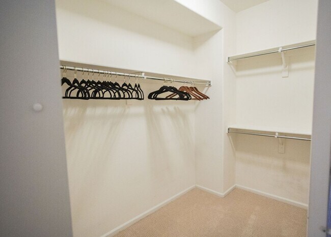 Building Photo - 2960 Newport Cir
