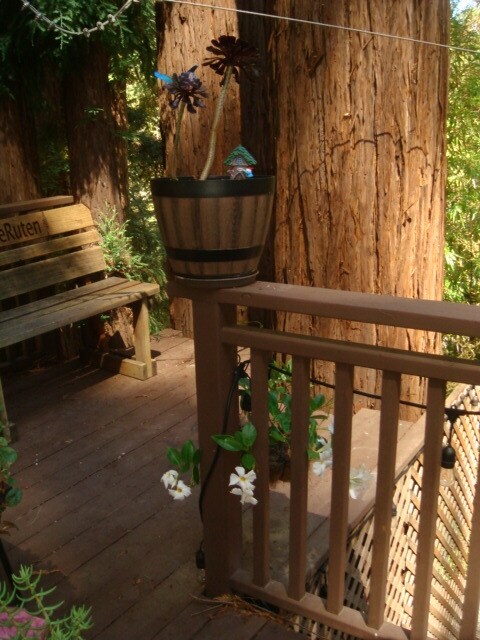 Side nook by Redwood Tree - 1841 Pool Rd