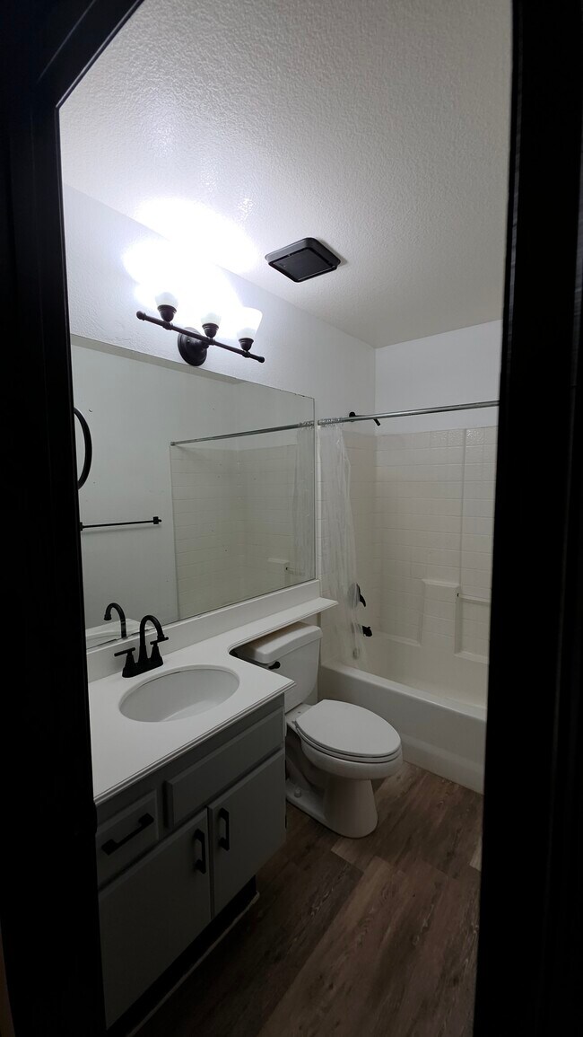 Building Photo - 1342 Serena Cir