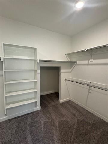 Building Photo - 1409 Corkwood Dr