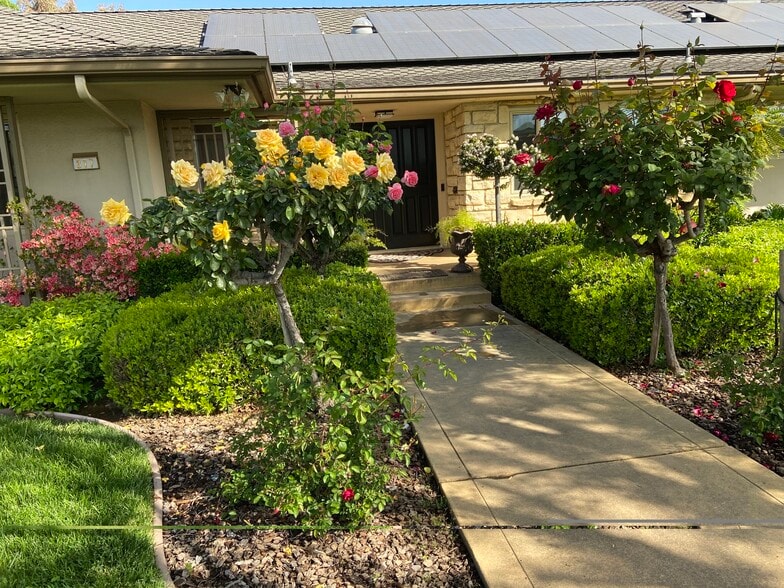 Walkway to front doors - 317 W Banbury Dr