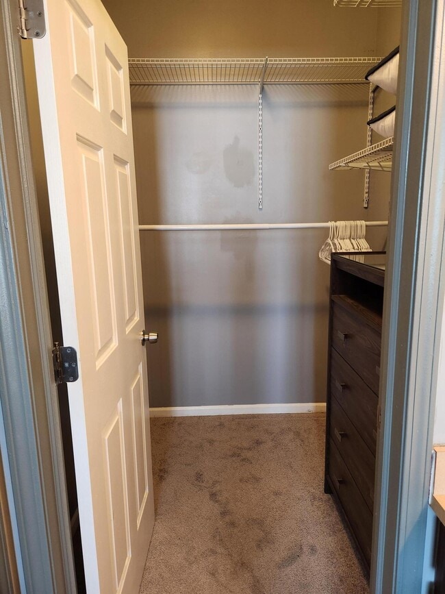 Building Photo - 23668 Northstone Village Dr