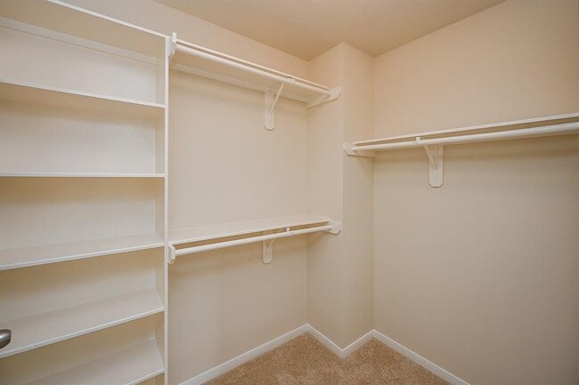 Building Photo - 4831 Plum Forest Rd