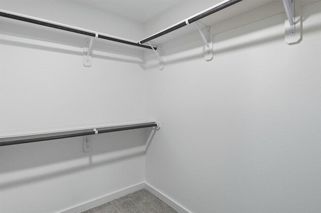 Building Photo - 2927 El Fenice Ln