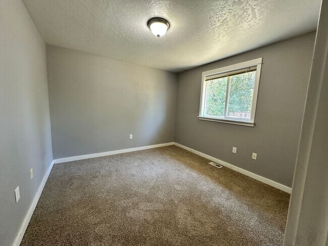 Building Photo - New Carpet