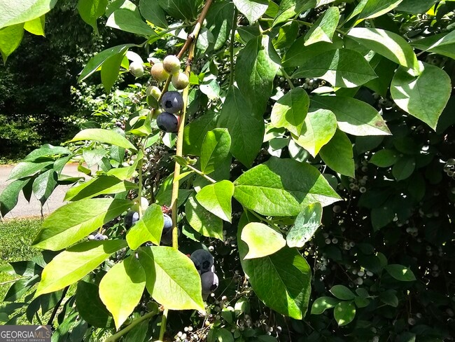 Building Photo - 15 Falcon Dr