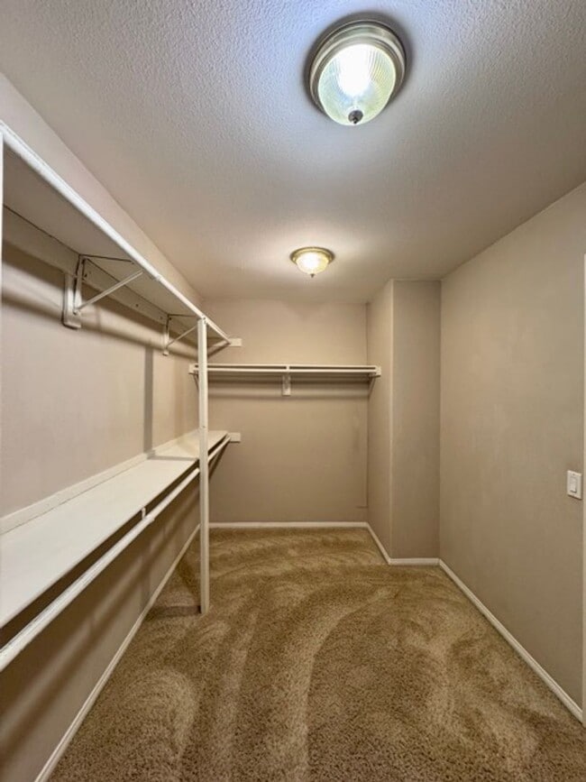 Building Photo - Beautiful 4 bedroom Temecula home sitting ...