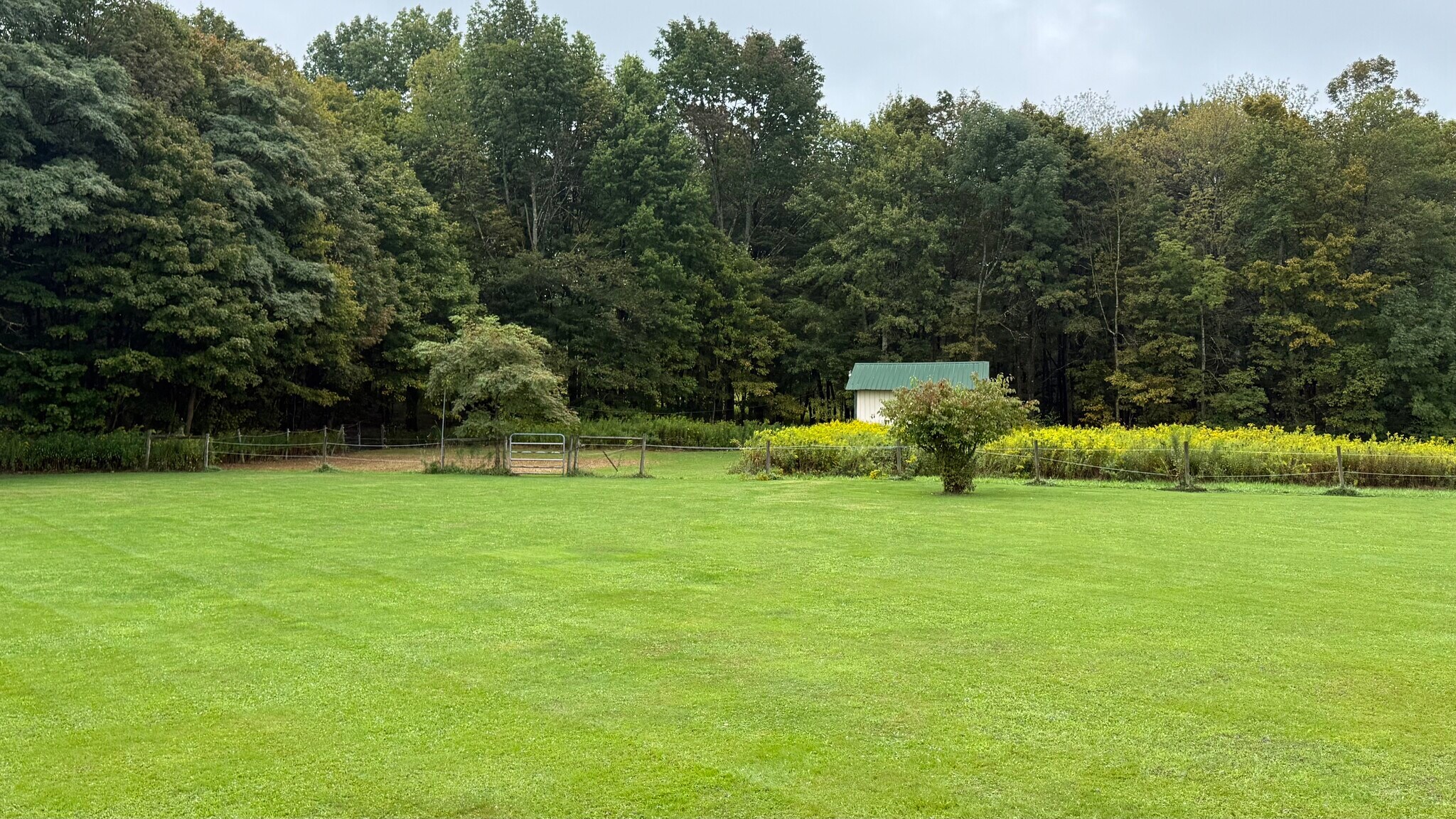 Run out/shed barn - 600 Lynda Maria Ln