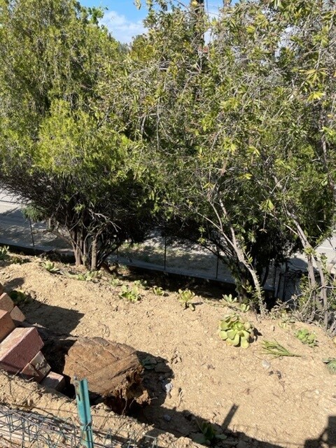 Building Photo - 20811 Tiara St