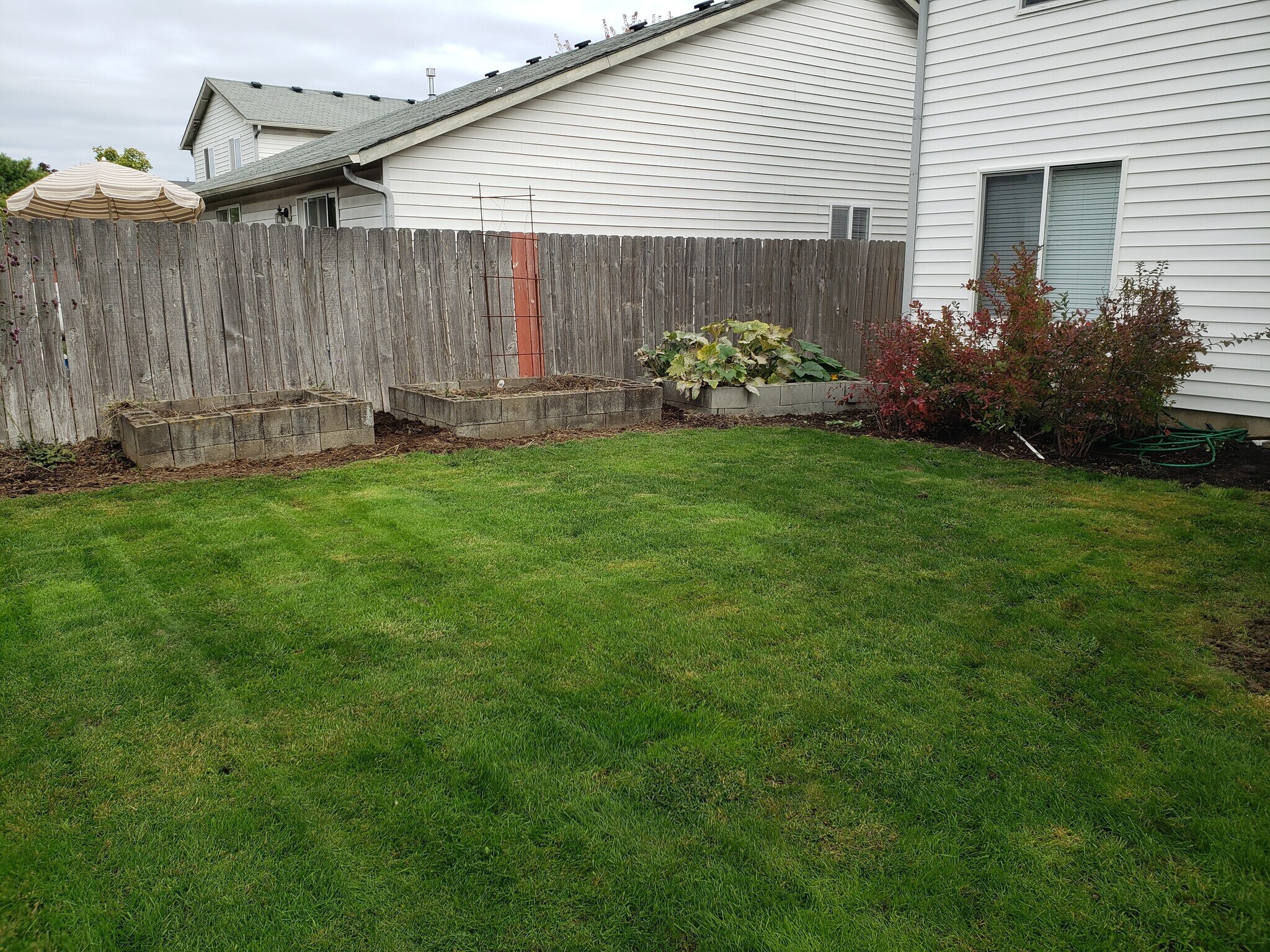 Backyard with beds - 770 Hyacinth St