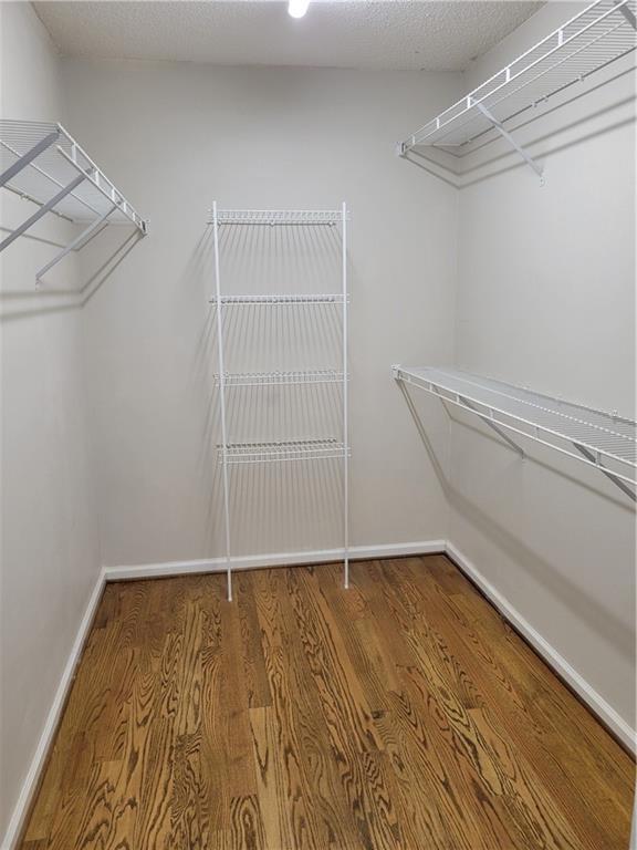 Building Photo - 3925 Barberry Ct