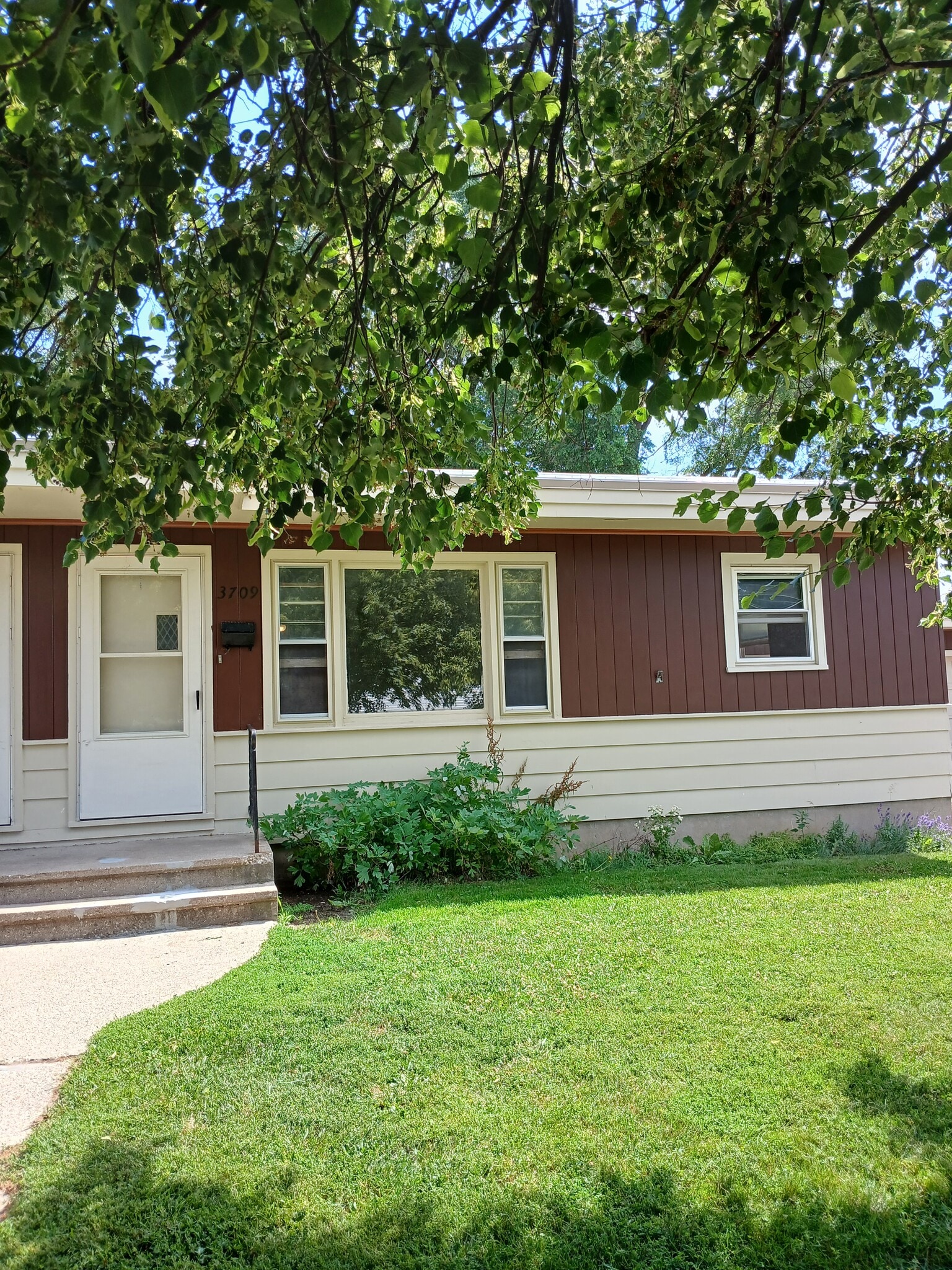 Front entrance - 3709 60th Pl