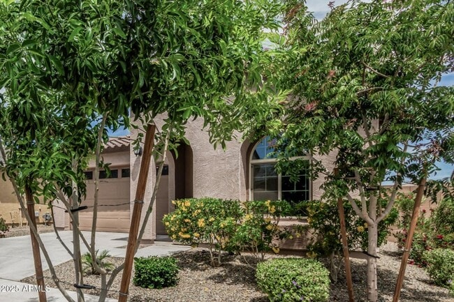 Building Photo - Newer Built 3 Bedroom/2 Bath Single Level Home in Queen Creek! Community Pool, Splash Pad, Lakes ...