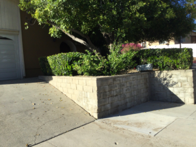 Building Photo - 22798 Avenue San Luis