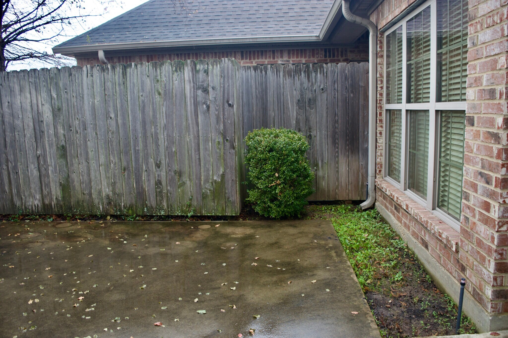 Building Photo - 2603 Broadmoor Blvd