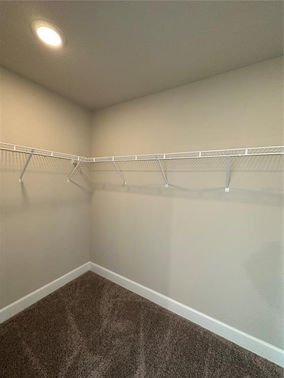 Building Photo - 1405 Captiva Cv