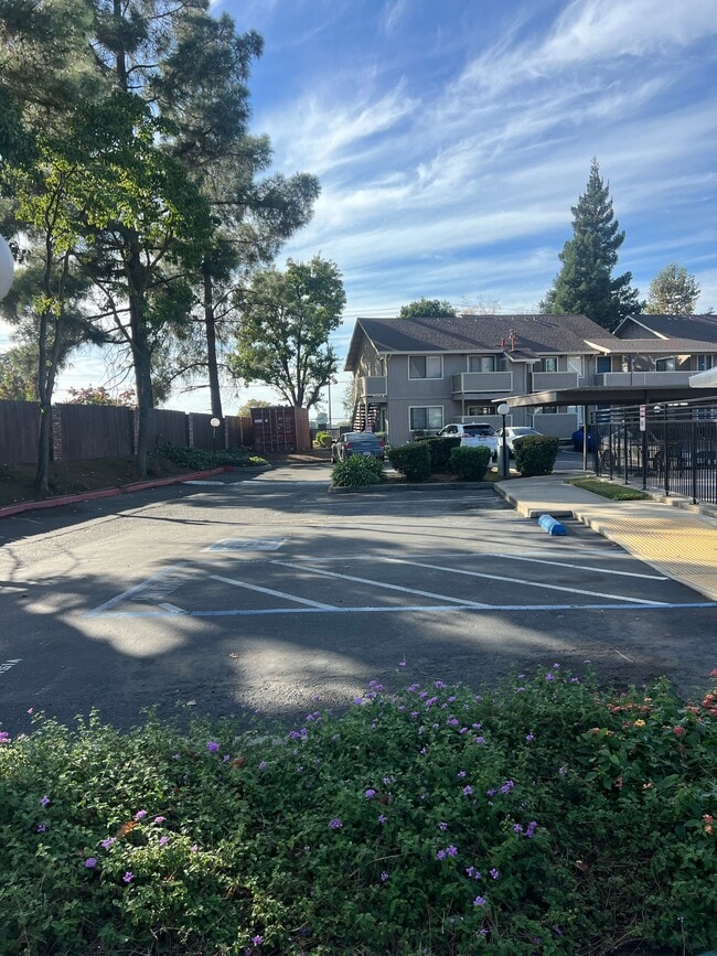 Building Photo - Spacious 1 and 2 Bedrooms, Gated, Pool & READY TO GO!