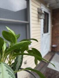 Building Photo - 1824 Pershing Pl