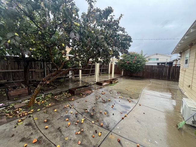 Building Photo - Charming 3-Bedroom Home in the Heart of Sa...