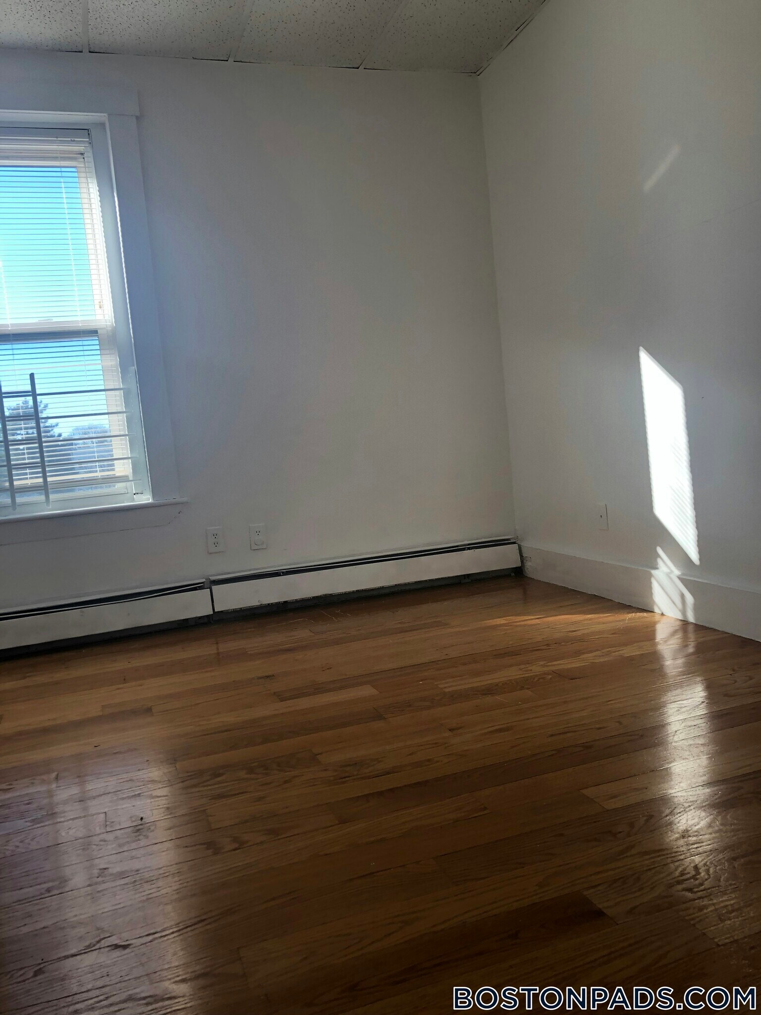 Building Photo - 270 Bowdoin St