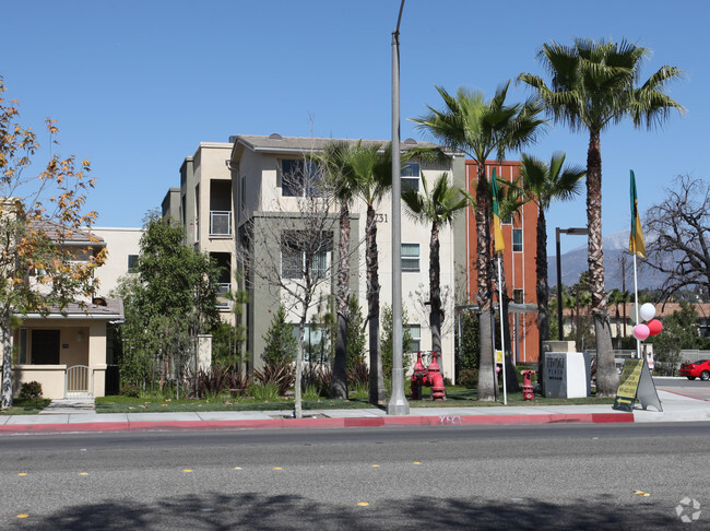 Building Photo - Tivoli Plaza Apartments