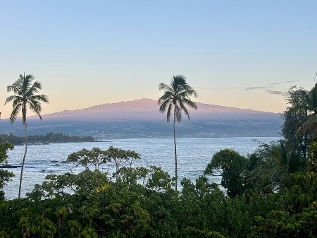 Building Photo - 2405 Kalanianaole St