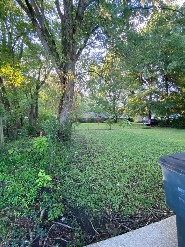 Backyard - 2753 Edgewood Ln