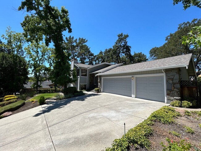 Building Photo - Must See Spacious Alamo 4BR Home with Remo...