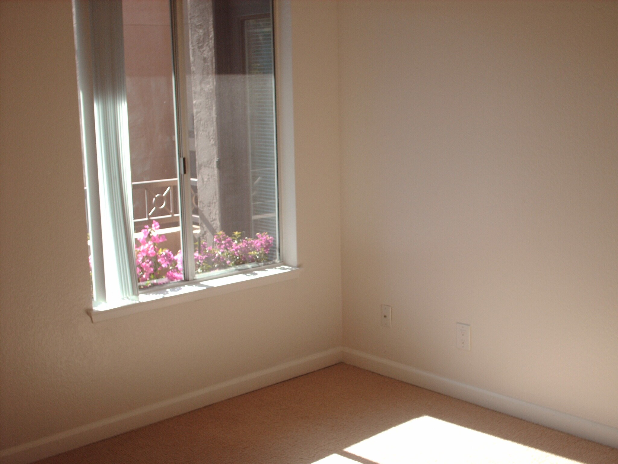 Building Photo - 3520 Lebon Dr