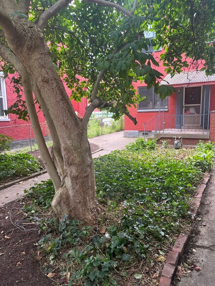 Building Photo - 2206 Sarah St