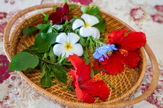 Building Photo - Stunning Single-Lever 2 Bed/ 2 Bath Home in Kaanapali Coffee Farms