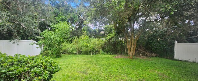 Private fenced backyard - 6739 Bluff Meadow Ct