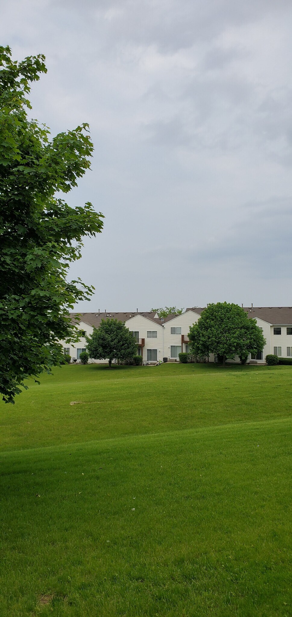 Building Photo - 1522 Meadowsedge Ln