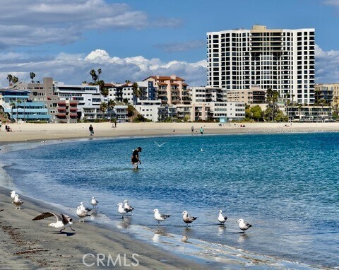 Primary Photo - 1310 E Ocean Blvd