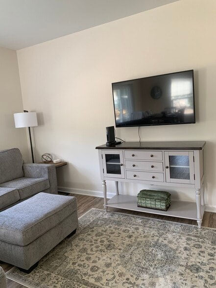 Living Room Roku TV/Console - 239 Louise Ln