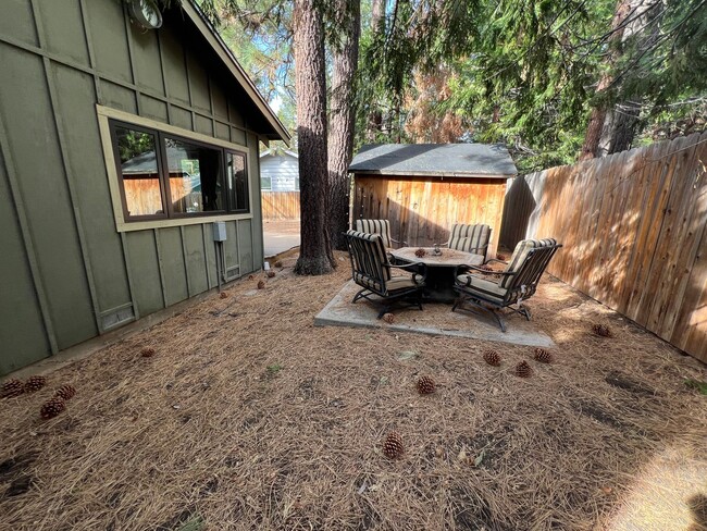 Building Photo - Cozy Cabin in the Woods