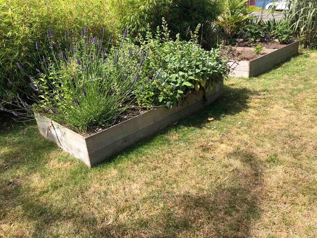 Building Photo - 7900 Beacon Ave S