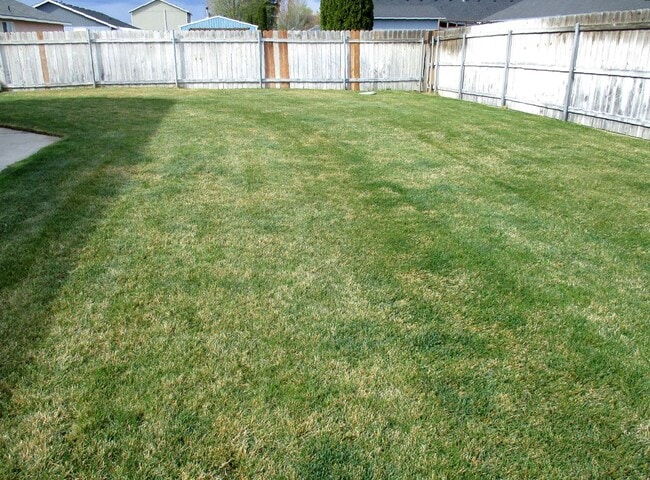 Building Photo - 4511 Saguaro Dr